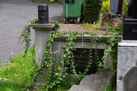 Bad Godesberg